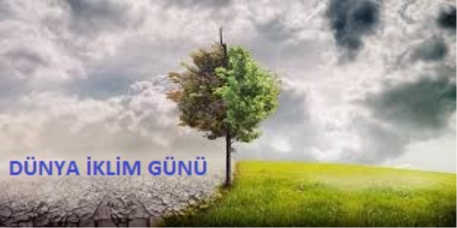 Dünya İklim Günü - 15 Mayıs